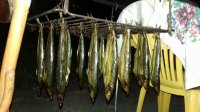 20170812_220823.jpg