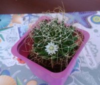 _20170816_153521.jpg