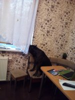 IMG_20171001_183104.jpg