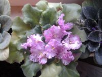 20150403_164214.jpg