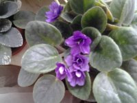 20150403_164244.jpg