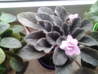 20150403_164255.jpg