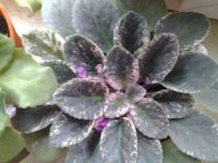 20150403_164307.jpg