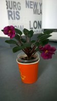 WP_20150319_12_05_59_Pro.jpg