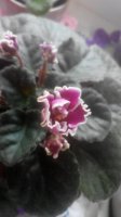 20150406095225.jpg