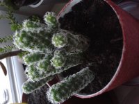 20170722_210402.jpg