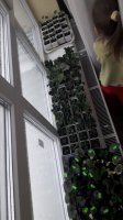 20180112_110849.jpg