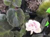 20180112_101521.jpg