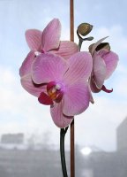 IMG_4477.jpg