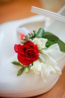 DSC01962.jpg
