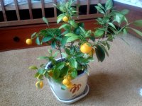 IMG_20180228_122529.jpg