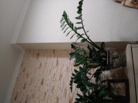 20180510_234615.jpg