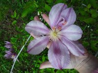 20180517_121521.jpg