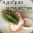 Zorya