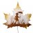 maple