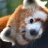 firefox